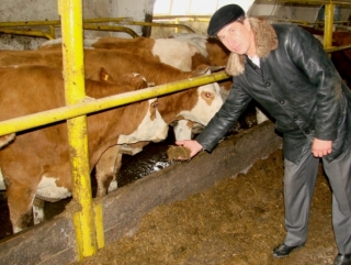 В 2013 году на поддержку фермеров в Мордовии направлено почти 45 млн рублей
