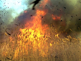 МЧС Краснодарского края обеспокоено высокой вероятностью пожаров в полях