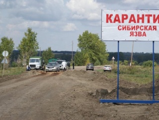 В Волгоградской области сняли карантин по сибирской язве