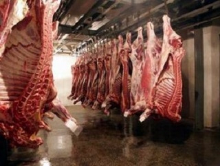 Мясоперерабатывающий цех запущен в Калмыкии