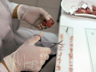 Россельхознадзор выявил недоброкачественную мясную продукцию из Бразилии