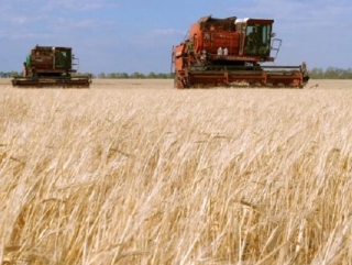 Аграрии Челябинской области намолотили миллион тонн зерна