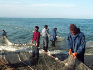 Уровень оплаты труда в рыбной отрасли регулярно повышается