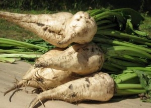 Оптовые цены на сахар будут расти – ИКАР