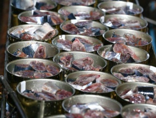 В Приморье заработала схема снижения цен на рыбопродукцию