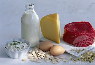 На востоке Ставрополья создадут мясо-молочный кластер стоимостью 36 млрд рублей