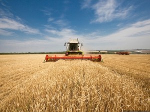 Импортная сельхозтехника теряет конкурентоспособность