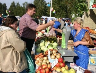 Курган готовится показать свою сельхозпродукцию