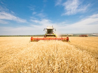 В Ростовской области собрали первый миллион тонн зерна