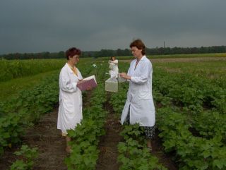 Сельхозпроизводителей Краснодарского края познакомят с новыми возможностями органического сельского хозяйства и биологизации земледелия
