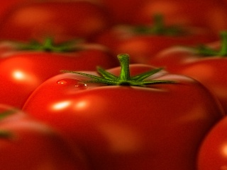 Астраханский завод по производству томатной пасты намерен в следующем году выйти на экспорт