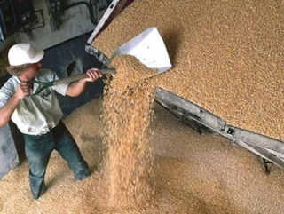 На этой неделе в Крыму решится вопрос вывоза зерна