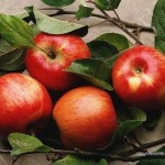 Фрукты из Чечни заменят польские яблоки в российских супермаркетах